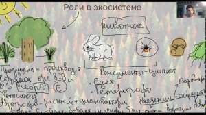 Экосистема. Пищевые цепи | Биология ЕГЭ