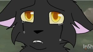 Реакция на Чёрную ночь КВ делать 2 часть??? @Blacknight_Star #котывоители