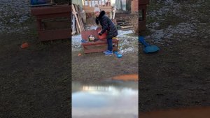 Если в бензопиле закончился бензин