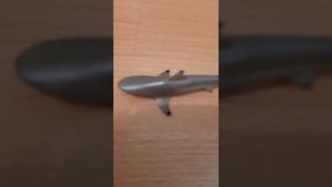 Размеры животных.