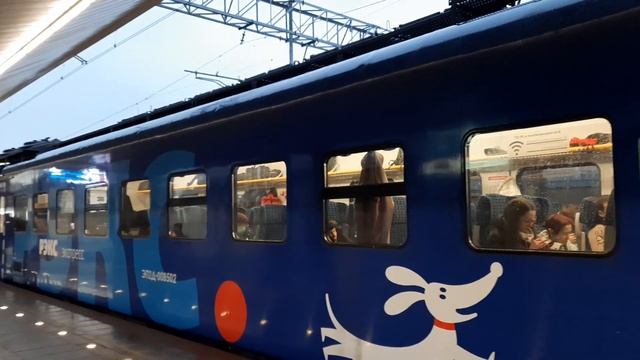 Электропоезд ЭП2Д-0085 "Фирменный экспресс" сообщением "Москва(Курская) - Тула-1(Московский вкз.)" смотреть онлайн