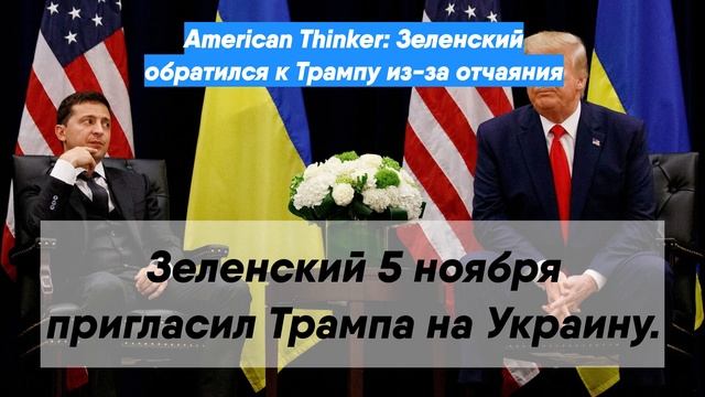 American Thinker: Зеленский обратился к Трампу из-за отчаяния