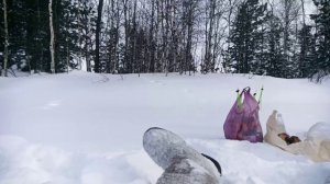 VID_20240330_100406.mp4