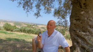 Gemfan 7035, 7040, Dalprop T7056 - Выбираю пропы для квадрокоптера