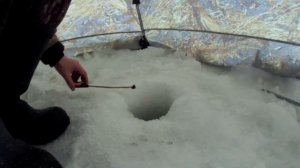 Зимняя рыбалка,на Чулыме.