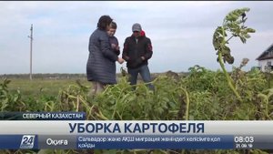 Андрей Стрелец выращивает экологически чистый картофель. Поля удобряет биогумусом