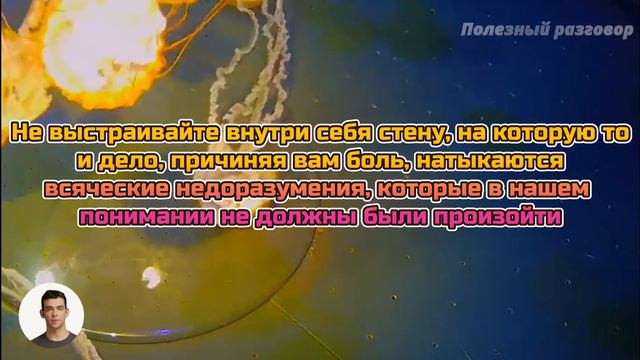 Принять, чтобы победить: как мудрость принятия решает проблемы