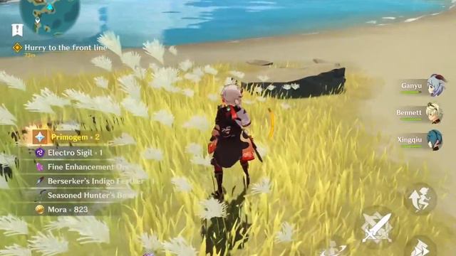 Genshin Impact: Inazuma + Baal Raiden Shogun Battle + Stillness, Sublimation of Shadow - Part 349 смотреть онлайн