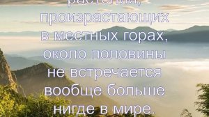 Интересные факты о Тайване