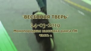 Тверь 24 03 2019 часть 2.mp4