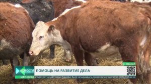 Грантовая поддержка сельхозпроизводителей