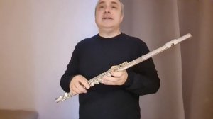 Как перейти с Блокфлейты на поперечную флейту урок 2 Моцарт Аллегретто