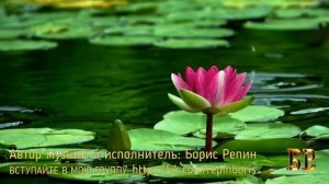 Если еще любишь...