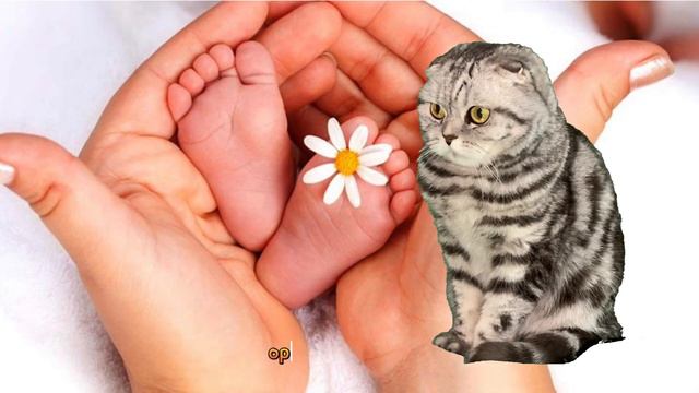 Как получить свидетельство о рождении новорожденному ребенку смотреть онлайн