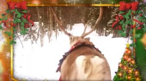 "Новогодний карнавал". Поёт В.Сёмин, группа "Белый день"