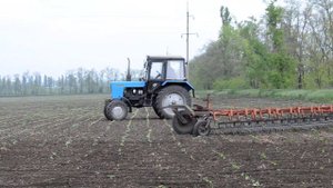 Борона пружинная прицепная БПП