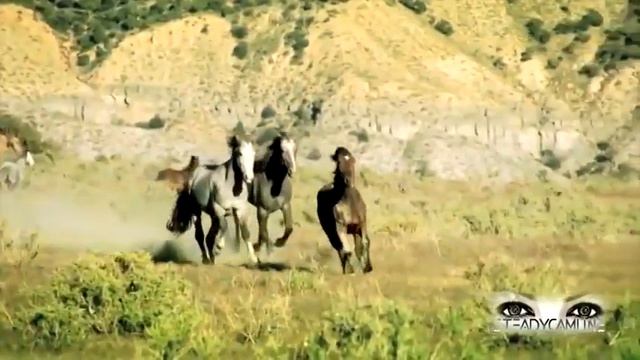 Энигма смотреть онлайн