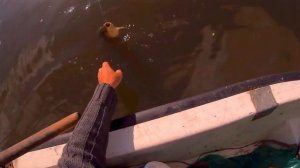 Первый КАРП пошел, Ловля карася и карпа на боковой кивок, Боковой кивок