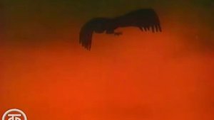 В мире живой природы_