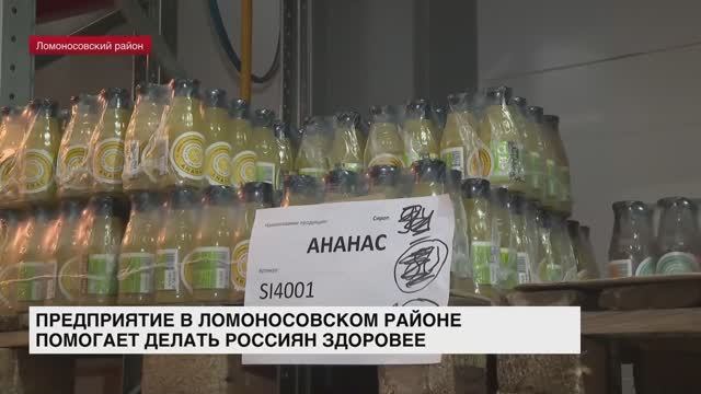Предприятие в Ломоносовском районе помогает делать россиян здоровее