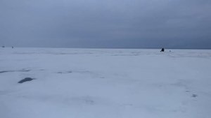 Ловля судака на Финском заливе. Зимняя рыбалка на раттлин