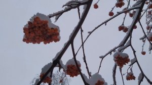 СРЕТЕНИЕ ГОСПОДНЕ 15 февраля.ЧТО НЕЛЬЗЯ делать.Как узнать, есть  ли ПОРЧА