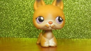 LPS: 7 Новых старых петов