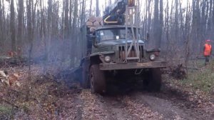 Урал лесовоз застрял