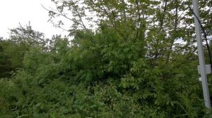 Участок НАШ!!!