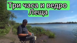 Три часа и ведро леща