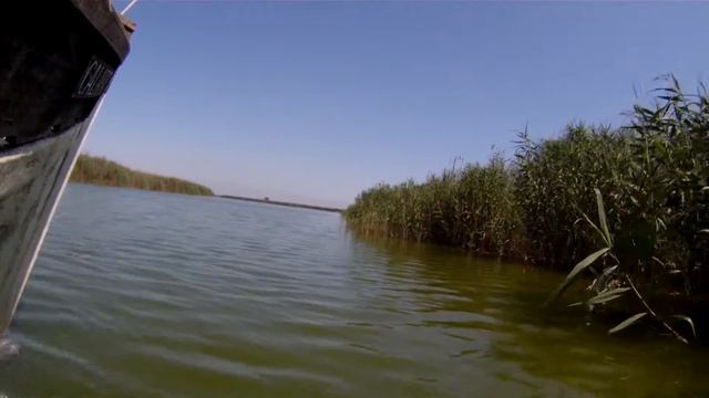 Blasco Ibáñez Albufera4 смотреть онлайн