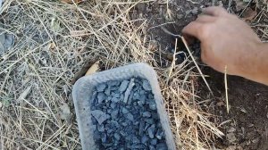 Посадка лесосадов в пересыхающих руслах горных рек и ручьев!