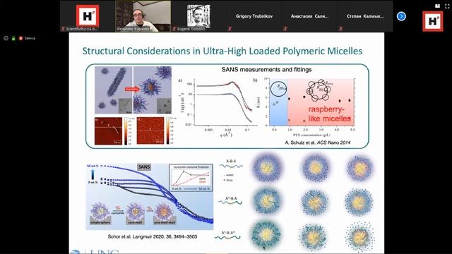 профессор МГУ А.В. Кабанов "Super-High Capacity Polymeric Micelles for Cancer Therapeutics... смотреть онлайн