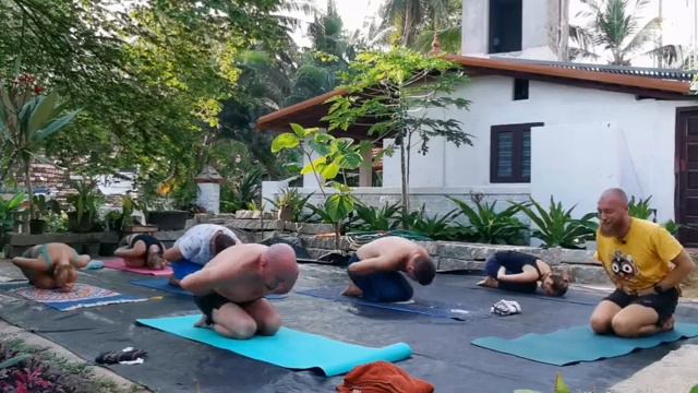 🧘🏻 Видеоурок с практикой йоги для начинающих и продолжающих (с пояснениями). смотреть онлайн