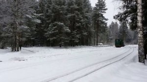 Тепловоз ТУ4-2129 / узкоколейная железная дорога Пищальского торфопредприятия