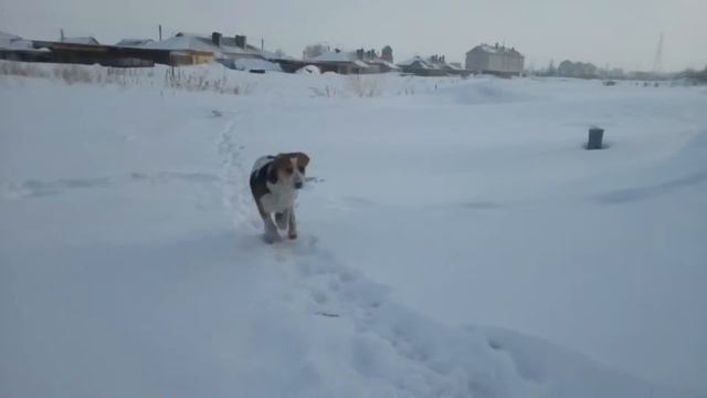 РПГ 4 месяца