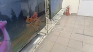 Телевизор LG LB569V