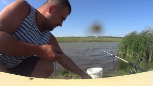 Ловим Сазана..