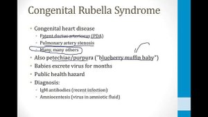 Infectious Diseases - 6. Viruses - 4.RNA Viruses atf