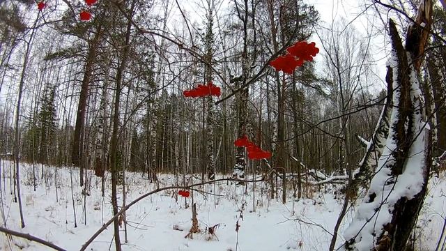 ЗИМНИЙ ПОХОД К РЕКЕ,ОБЪЯВЛЕНИЕ/WINTER HIKE TO THE RIVER,AD...