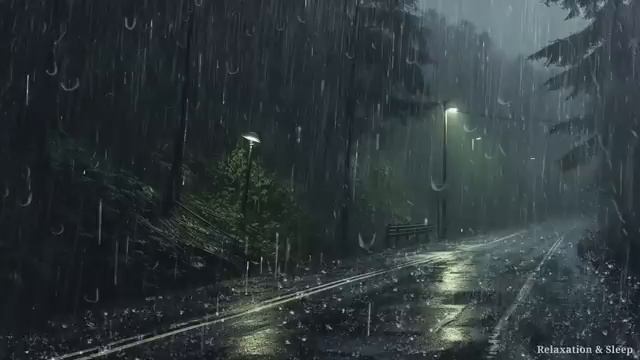 Entro 3minuti ti addormenterai con forti piogge e forte vento su una strada tranquilla nella forest смотреть онлайн