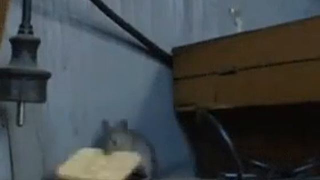 До чего доводит жадность смотреть онлайн