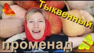 Деревенский тыквенный  _променад_ .. что по-ненашему Rustic pumpkin _promenade_...mp4