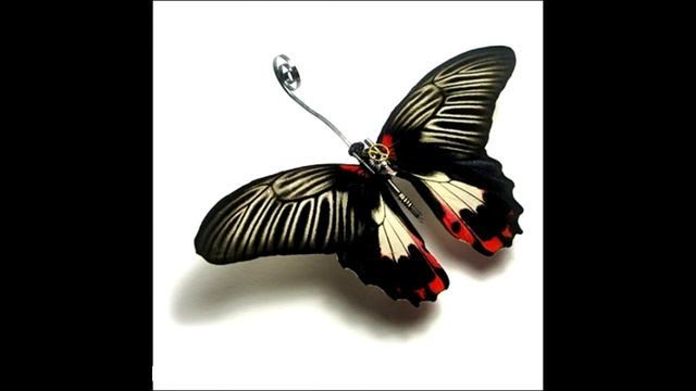 Японские металлические насекомые смотреть онлайн