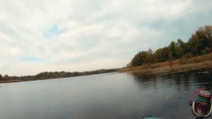 Клюёт как большая. Спиннинг MIFINE ENIGMA.