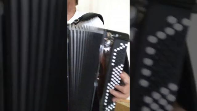 Незабудка на баяне смотреть онлайн