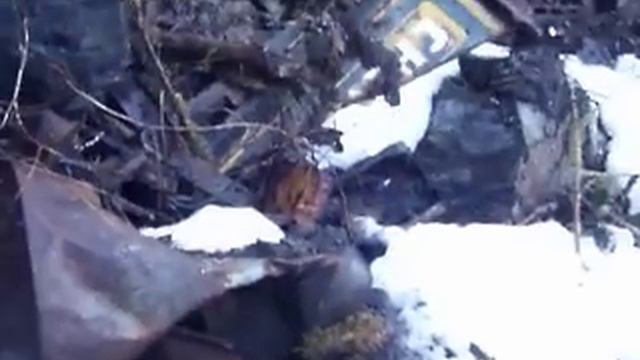 NIGHTMARE IN COFFMAN COVE ALASKA "CITY COUNCIL / ELAINE PRICE SOLD CONTAMINATED PROPERTY" смотреть онлайн