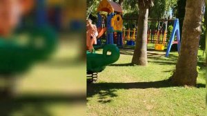 Обзор отеля Delphin Botanik Platinum