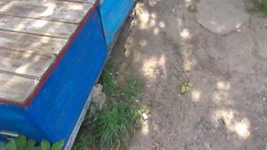 НЕТУ ВЗЯТКА НУЖНО КОРМИТЬ ПЧЕЛ, ЧЕМ ???