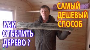СИНЕВА в Бане и Доме? Отбеливание древесины за 30 руб! Биозащита дерева.